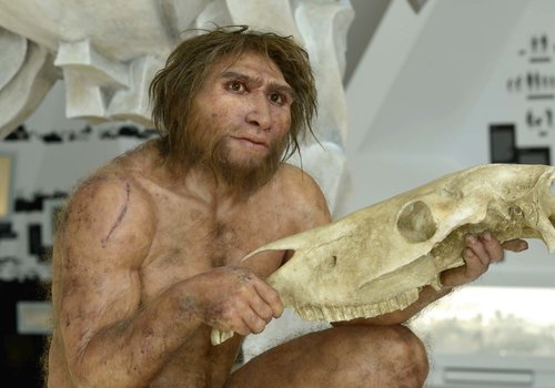 Homo heidelbergensis "Hamlet"